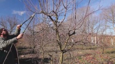 Bahçıvan dalları kesiyor, meyve ağaçlarını meyve bahçesinde uzun makasıyla buduyor. Çiftçi baharın erken saatlerinde meyve ağaçlarının dallarını buduyor. Fotoğraf - Jpeg video kodlayıcısı