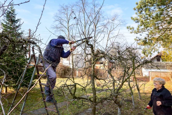 Idős férfiak és nők ágakat vágnak, gyümölcsfákat metszenek. — Stock Fotó