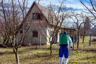 Koruyucu giyimli bahçıvan meyve ağaçları serpiştiriyor.