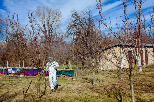 Trädgårdsmästare bär skyddande övergripande strössel fruktträd med l — Stockfoto