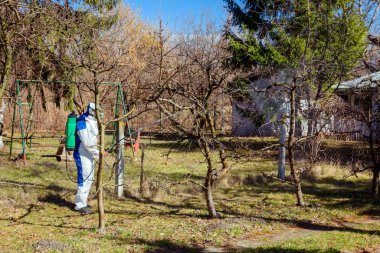 Koruyucu giyimli bahçıvan meyve ağaçları serpiştiriyor.