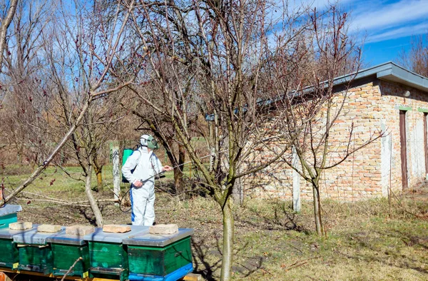 Gardener wearing protective overall sprinkles fruit trees with l — ストック写真
