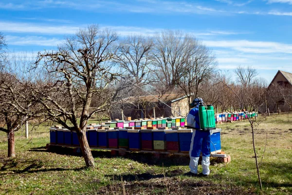 Gardener wearing protective overall sprinkles fruit trees with l — ストック写真