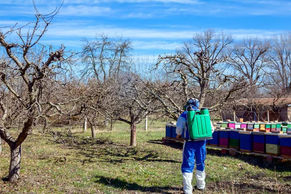 Giardiniere indossare protettivo generale spruzza alberi da frutto con l — Foto Stock