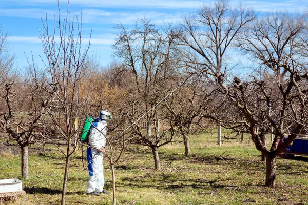 Jardinero con protección general espolvorea árboles frutales con l — Foto de Stock