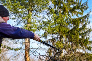 Kesme dalları, budama meyve ağaçları budama s ile bahçıvan olduğunu