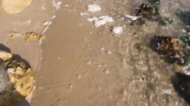 İnsanın bacakları sığ sularda yürür. Çıplak ayakla sığ deniz suyunda yürüyene kadar insan bacakları. H.264 video kodlayıcı