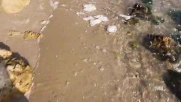 Man Legs Walking Clear Shallow Water Man Legs Walking Barefoot — Stock Video