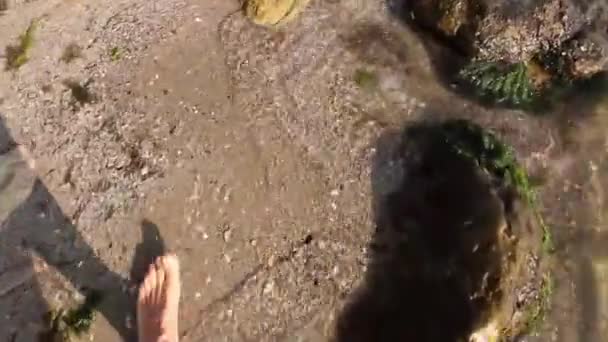 Мужские Ноги Идущие Чистую Мелководье Мужские Ноги Пока Ходит Босиком — стоковое видео