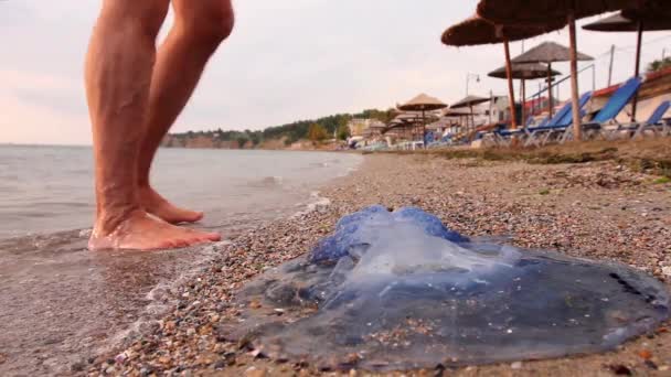 Adamın Bacakları Ölüp Gidiyor Sığ Deniz Suyunda Denizanası Turist Ölü — Stok video