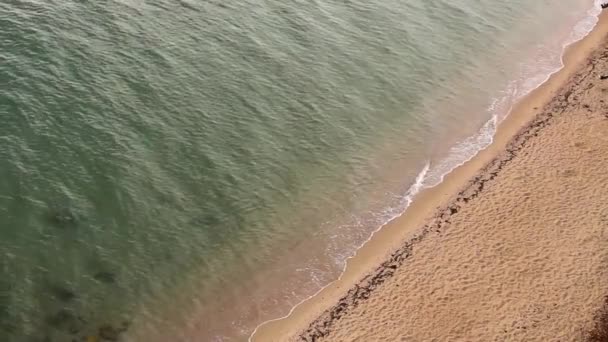 Sahil Şeridine Bak Kenarına Sabahın Erken Saatlerinde Deniz Kıyısındaki Kumlu — Stok video