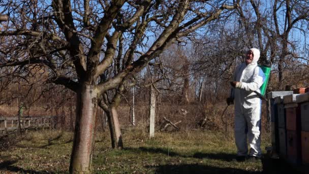 保護服の農家は 春の初めに真菌病や害虫から化学物質でそれらを保護するために長い噴霧器を使用して果樹園で果物の木を噴霧 — ストック動画