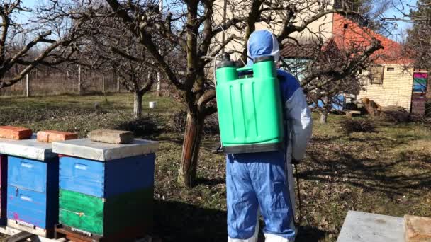 Farmář Ochranných Oděvech Rozstřikuje Ovocné Stromy Sadu Pomocí Dlouhého Postřikovače — Stock video