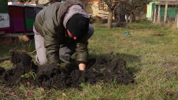 農家は蜂のコロニーの近くで 早春に果樹園で果物の木のために素手で穴を掘っています Canon Eos All — ストック動画