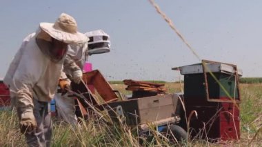 İki arı yetiştiricisi, arı yetiştiricileri bal topluyor. Arı yetiştiricileri arı kovanlarından ve hasattan bal koparmak için bal peteğini ahşap çerçevede çıkarıyorlar. H.264 video kodlayıcı
