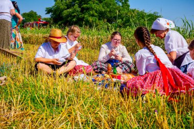 Muzlja, Voyvodina, Sırbistan, - 06 Temmuz 2019; Çocuklar geleneksel buğday hasadında piknikte kahvaltı yapıyorlar.