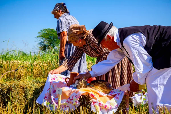 Muzlja Vojvodina Serbia July 2019 Elderly Man Women Preparing Breakfast — Stockfoto