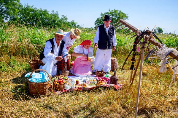 Muzlja Vojvodina Serbia Julio 2019 Equipo Retro Harvest Rastrillo Madera — Foto de Stock