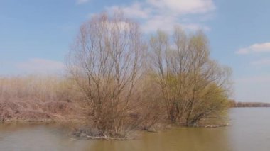 Nehir, ilkbaharın başlarında ormanın yakınında akmış, sakin geniş nehir kıyısı manzarası..