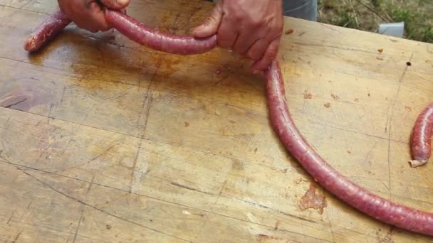 屠夫用切碎的肉卷起新鲜的肠子 分成两半 使香肠的长度大致相等 — 图库视频影像
