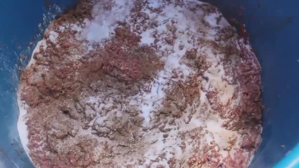 Cook Wylewa Przyprawy Mieszanie Mięsa Mielonego Głębokiej Plastikowej Misce Zmuszając — Wideo stockowe