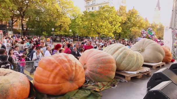 キキンダ ヴォイヴォディナ セルビア 2014年10月11日 伝統的な休日の競争でステージ上の巨大なカボチャのディスプレイ — ストック動画