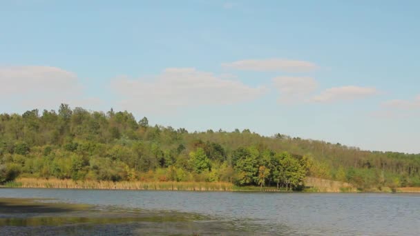 Bella Scena Foresta Colorata Sul Paesaggio Collinare Sul Lago Con — Video Stock