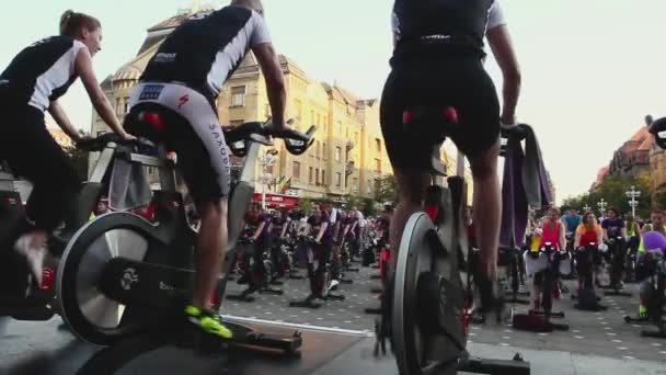 Тимишоара Банат Румыния Июня 2015 Группа Людей Которые Тренируются Велотренажерах — стоковое видео