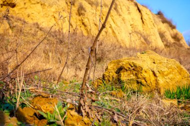 Kumlu bir tepenin yamaçları, Titel berg, Sırbistan