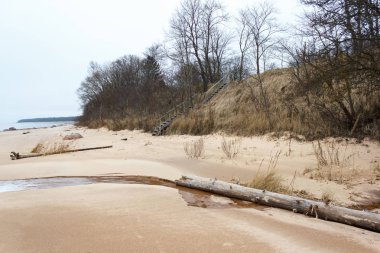 Baltık kumlu sahili. Kum üzerinde günlükleri.