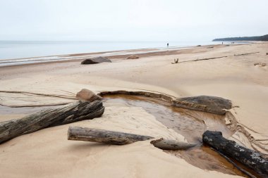 Baltık kumlu sahili. Kum üzerinde günlükleri.