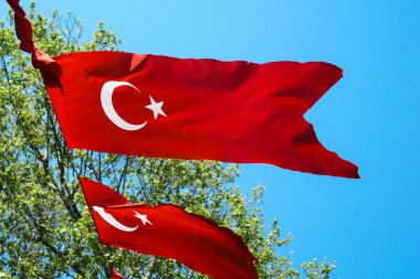 Türk bayrağı yeşil ağaçlar ve mavi gökyüzü arka planı çırpınan