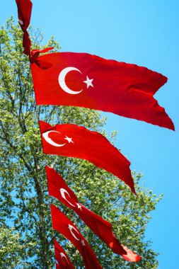 Türk bayrağı yeşil ağaçlar ve mavi gökyüzü arka planı çırpınan