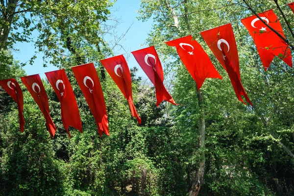 Türk Bayrağı Yeşil Ağaçlar Arka Planı Çırpınan — Stok fotoğraf