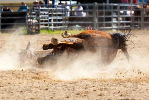 Rodeio — Fotografia de Stock