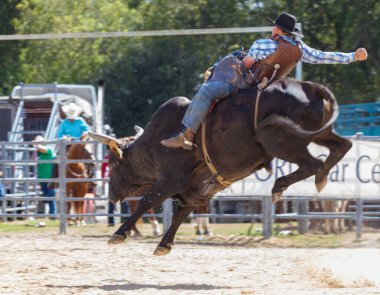 Rodeo