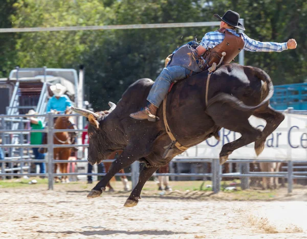 Rodeio — Fotografia de Stock