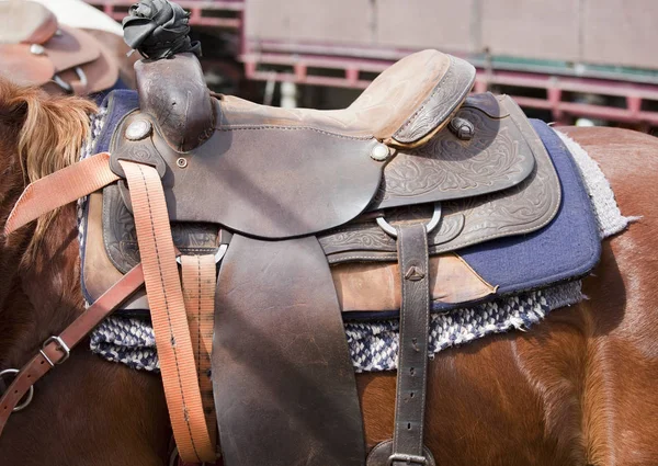 Rodeo — Stock Photo, Image