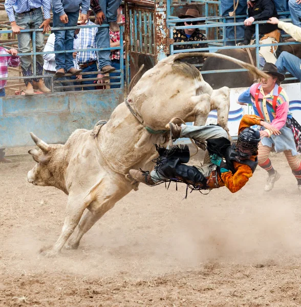 Queda de rodeio — Fotografia de Stock