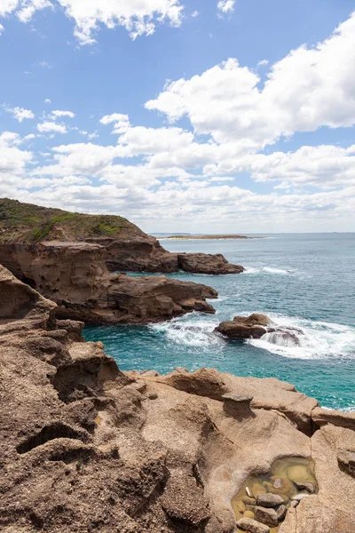 Snapper point — 스톡 사진