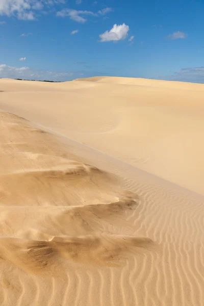 Zandduinen in het bestand — Stockfoto