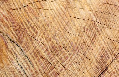 Arkaplan olarak ahşap doku kullanımı