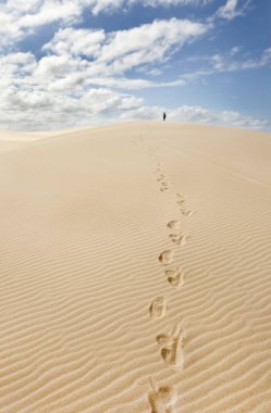 Newcastle Avustralya yakınlarında stockton kum tepeleri