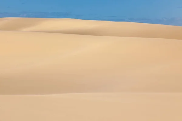 Stockton Duinen Australië Buurt Van Newcastle — Stockfoto