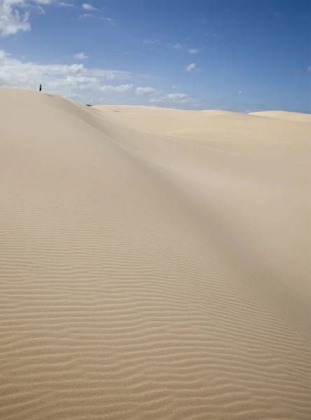 Stockton Zandduinen Buurt Van Newcastle Australia — Stockfoto