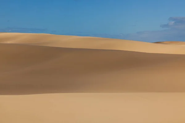 Stockton Duinen Australië Buurt Van Newcastle — Stockfoto