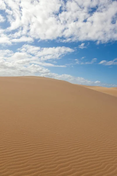 Stockton Sanddünen Der Nähe Von Newcastle Australia — Stockfoto