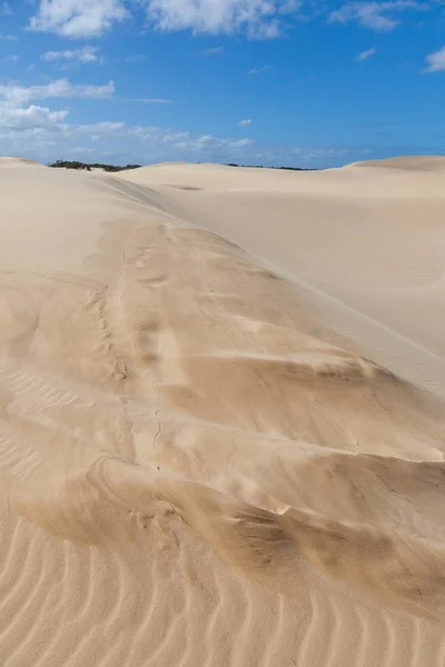 Stockton Dunes Australia Vicino Newcastle — Foto Stock