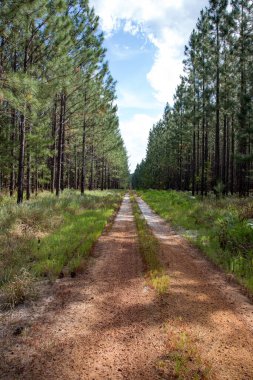 düz yolda kırsal Avustralya