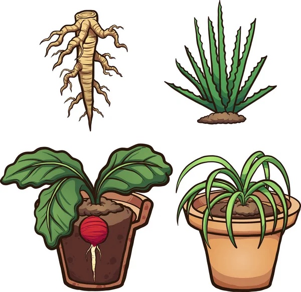 Karikatur Pflanzen und Wurzeln — Stockvektor